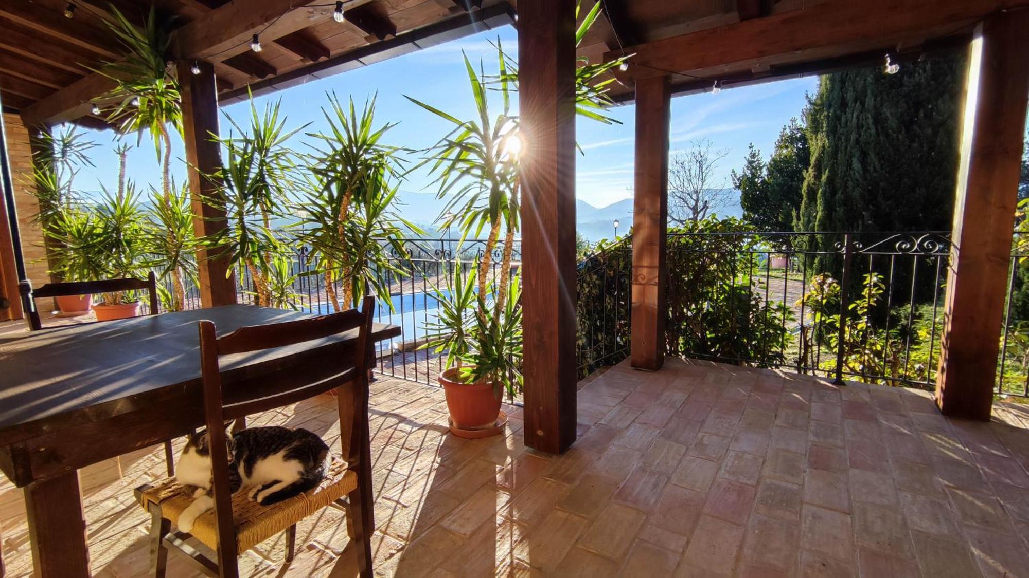 Agriturismo Pascucci Толентино Номер фото