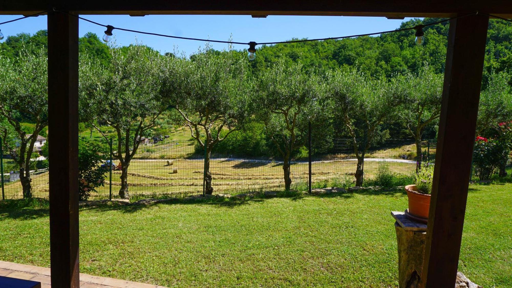 Agriturismo Pascucci Толентино Номер фото